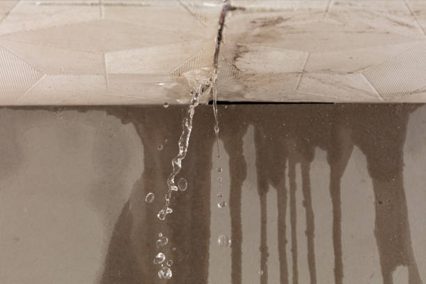Professional Burst Pipe Cleanup technician working in Halifax, VA